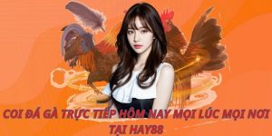 Coi đá gà trực tiếp hôm nay